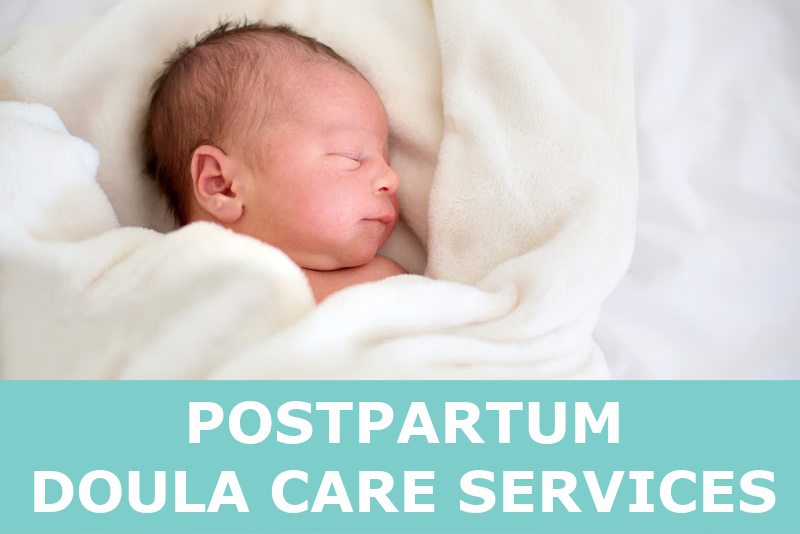 Postpartum Doula Services