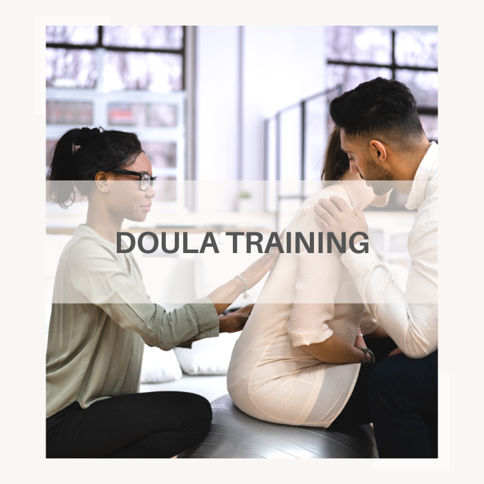 online doula training