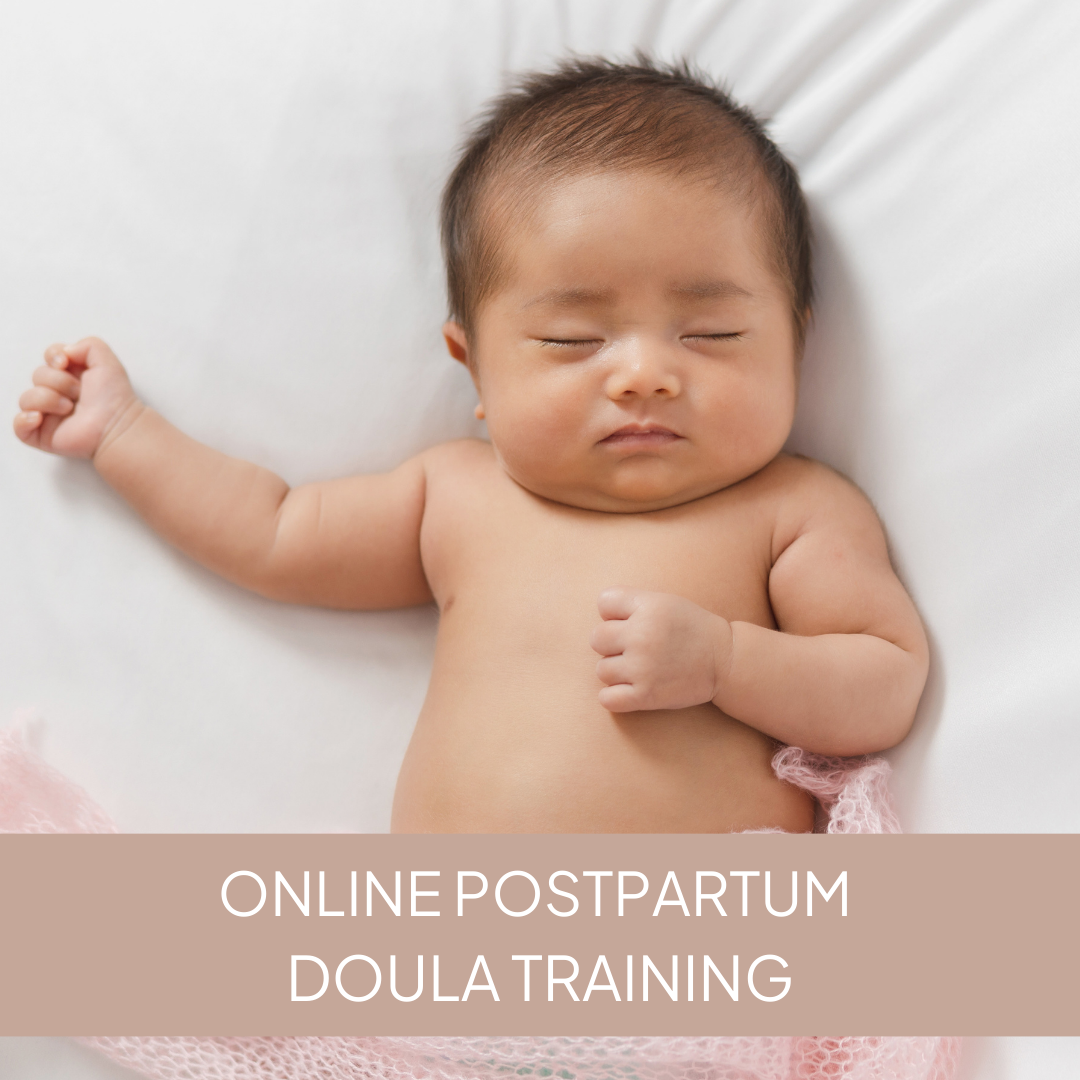 Postpartum Doula Training
